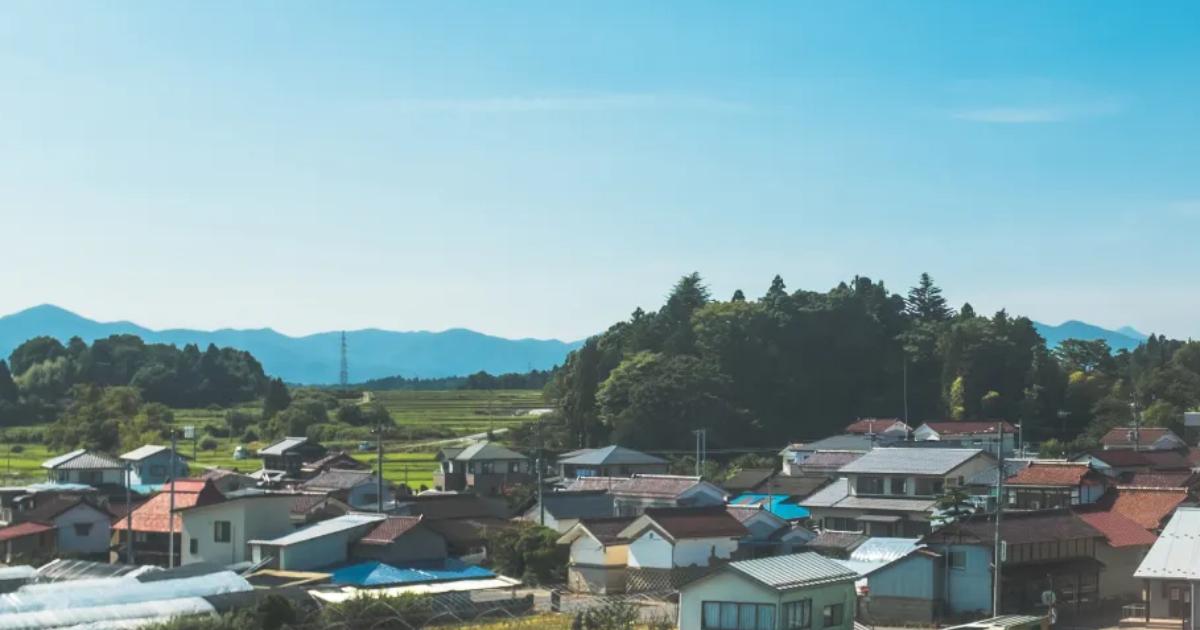 マーケティングの力で地方企業の成長を支えるサービス開発