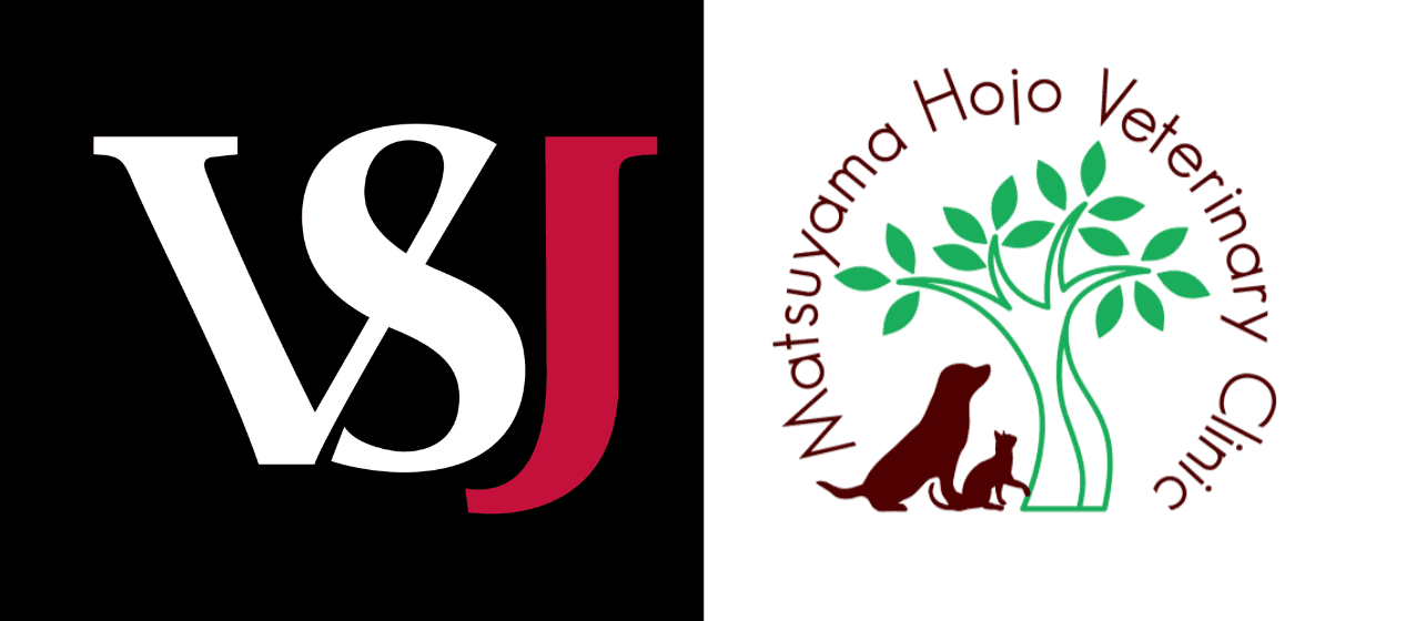 動物病院の教育&経営支援のビジネスモデル構築・クリニック展開